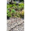 Płot OGRÓD ozdoba do hortensji obrzeże metalowe solidne podpora 40x50cm
